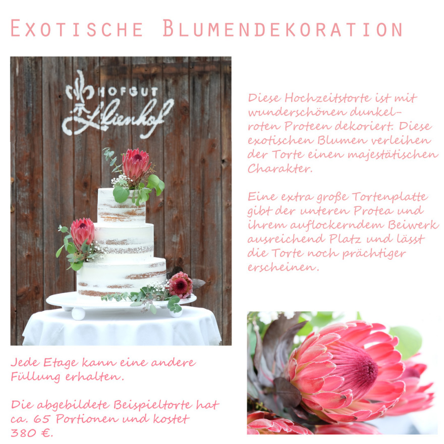 Naked Cake Protea